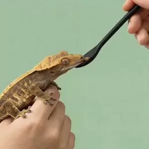 파충류 피딩 스푼 도마뱀 숫가락 실리콘 3종세트 먹이 푸드 수저