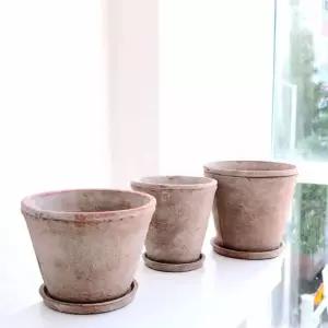 화분 스탠다드 20x19 개업축하 선반화분 개하 선물 인테리어 카페 까페 실내 사무실 회사 개업식 호텔 테이