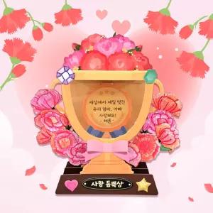 카네이션 꽃다발 트로피 (어버이날 만들기)