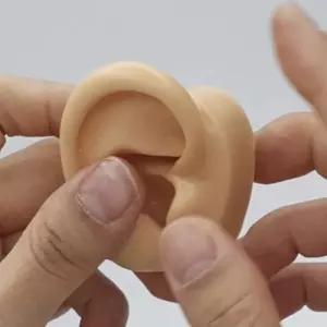 실리콘인체모형 인형 귀모형 오른쪽가챠기계 뽑기 건축재료 뼈모양 피젯
