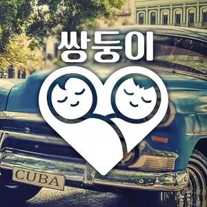 [콩심팥심]외장스티커 자동차데칼 쌍둥이 차량튜닝 반사시트