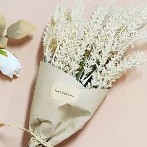 [콩심팥심]for 차량꾸미기 차량튜닝 외장스티커 차량포인