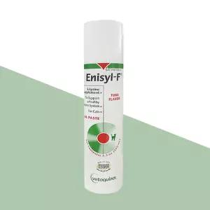 [베토퀴놀] 애니실F 100ml 반려묘 바이러스 헤르페스 엘라이신 영양제