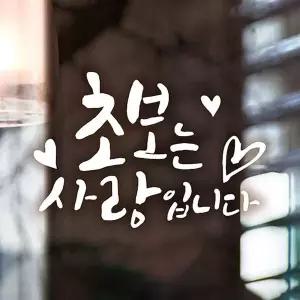 [콩심팥심]차량튜닝 자동차스티커 자동차꾸미기 차량데칼 차