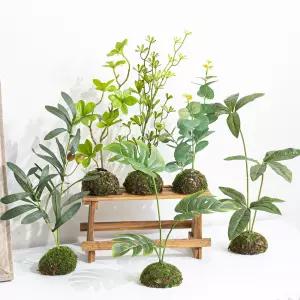 몬스테라 홍콩야자 유칼립투스 올리브 이끼볼 조화 네츄럴 식물 조경 테이블 장식 6타입