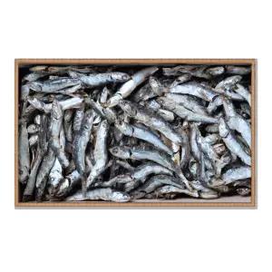 [대한민국농수산] 국산 국물용/반찬용 특품 멸치 1.5kg