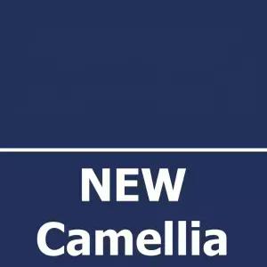 부산출발 카멜리아 후쿠오카 시내숙박 자유석식 패키지여행 3박4일(일본 선박여행 배편)