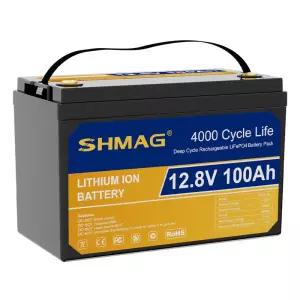 RV 해양 골프 카트 12V 24V 36V 100Ah 200Ah 300Ah 충전식 딥 사이클 LiFePO4 리튬 철 인산염 배터리