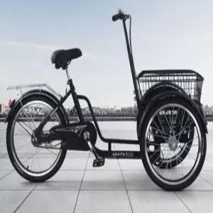 역삼륜 인력거 스타일 가족용 이동수단 짐칸 장착형 시트