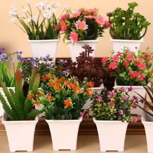 조화세트 다육이 난초 초롱꽃 라벤더,회오리꽃,화이트플라워,화이트라벤더