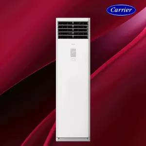 캐리어 인버터 스탠드 냉난방기 DAMQ-1101EAWSD 30평형 에어컨 냉온풍기 실외기포함 기본설치비별도 빠른설치