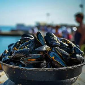 홍합 제철 통영 산지직송 국내산 생 생물 반품불가