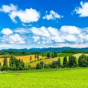 홋카이도 4일 #MD추천 #도동+도남 #도야유람선 #후라노팜미타 #우스잔로프웨이 #비에이 #아오이이케 #시라히게노타키 #오타루산책 #신비의물,몰온천 #대게특