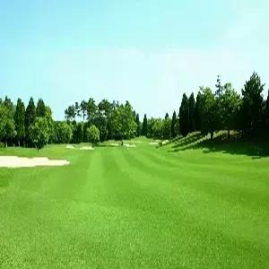 [간사이공항/오후출발/청주출발] 고베 골프 4일 #다색골프 #54홀 #오노그랜드/기타고베/기타롯코CC #아리마온천호텔 #특급온천 #조/석식포함 #2인출발가능