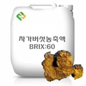 차가버섯농축액 20kg 과일농축액 과일추출액 야채농축액 야채추출액 과채농축액