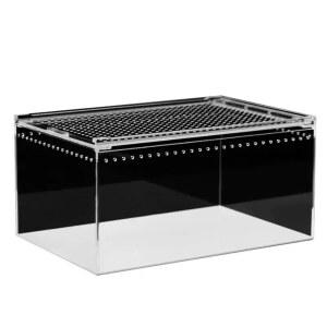 왕달팽이 달팽이키우기 백와달팽이 사육장 달팽이 애완용