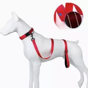 [반려] 반려동물 산책 쿠션 나일론 리드줄 핸들링 필수템