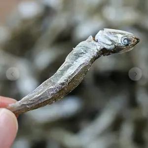 VB 볶음 조림용 멸치 140g용 용마른 반찬 용건 건멸치 반찬용 마른