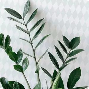 패브릭벽지 모서리 시트지 뮤럴벽지 여성도배 모던벽지 53X34cm