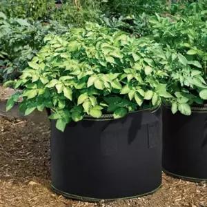 베란다 텃밭 대형 부직포 화분 2p세트(60x40cm) (블랙+그린)가드닝용품 난간 인테리어 옥상 거실 나무 식물