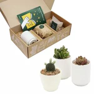 화이트 화분베이스 다육식물 패키지 세트거실인테리어 실내 미니