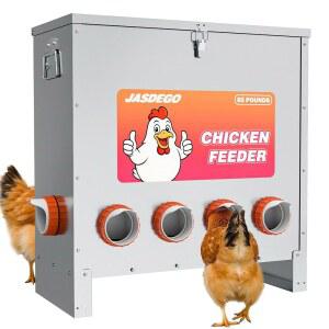 JASDEGO 금속 닭 모이통 노 웨이스트 10포트 자동 가금류 대용량 85파운드, 밴텀 꿩 사료용 래치 및 손잡이 포함