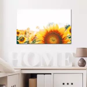 감성 해바라기 캔버스액자 플라리아벽걸이 집꾸미기 홈인테리어 소품 아트