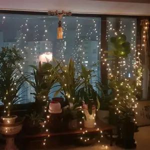 led무드등 300구 리모컨타입 LED 커튼형전구 조명장식 줄조명 띠조명 트리 구슬 방울 파티 크리스마스 앵두