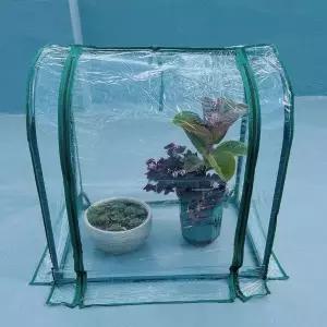 소형 비닐하우스 다육이 키우기