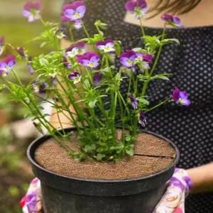 20cm 10개 화분덮개 코코넛커버 가리개 흙커버 식물 홈가드닝보호 관리 자갈 먼지 용품 반려동물지킴 아이