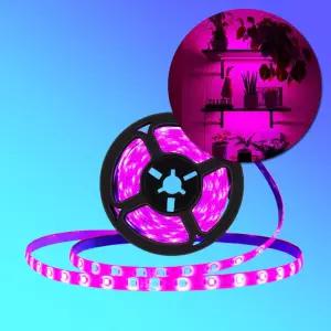 N2986 실내 태양광 물멍어항 식물 광합성 LED 램프 5M키우기 화초등 키우기 생장등 LED우산등 LED등 조명등