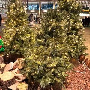 녹색선 LED 웜색 트리전구 100구 10M(전원잭별매)용조명 인테리어 크리스마스 미니 소품크리스마스장식 꾸