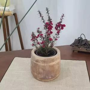 테라원 빈티지 아쿠아 토분 HN30414 12x14cm 미니Jar정용품 분갈이화분 홈가드닝 식물키우기 인테리어 가벼