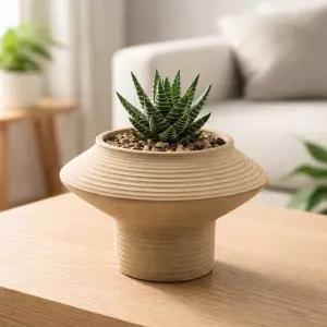 프리미엄 고화도 토분 화분 CKD01 11x12cm원예 베란다 디자인 식물 물구멍 꽃화분 분배 인테리어