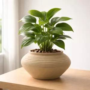 프리미엄 고화도 토분 화분 CKD02 12x10cm원예 베란다 디자인 식물 물구멍 꽃화분 분배 인테리어