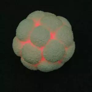 발광볼 탱탱볼 만들기 10인 세트기념품탱탱볼만들기 원형볼만들기 초등과학교구 어린이과구 키즈과구 실험