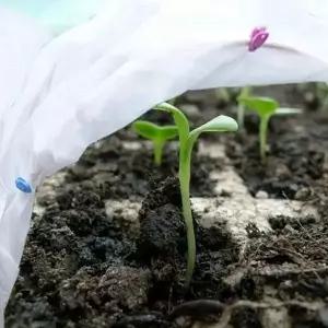 부직포 식물 보호 커버 월동 식물 방한 덮개 겨울 텃밭