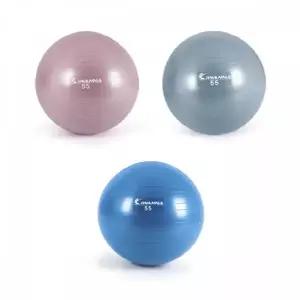 TBZ 워너 안티버스트 짐볼 55cm