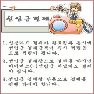 선입금결제-100,000원