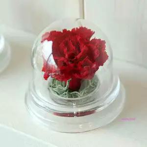 더봄 돔 아크릴 레드 카네이션 카네이션돔def638