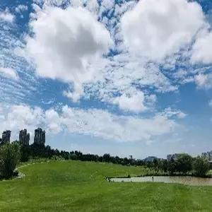 [부산출발/청도IN OUT] 청도+연태 골프 3일 #다색골프 #45홀#화산/봉래군정CC #봉래군정리조트 #조/석식포함 #군정와인제공 #수하물23kg