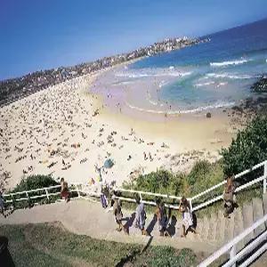 [부산출발/스마트 초이스] 완벽한 시드니 6일 #노옵션 #시드니야경투어 #오페라하우스내부 #팜비치 #북부+동부관광 #포트스티븐스 #블루마운틴시닉3종 #디너크루즈 #하버프론트레스토랑 #와인1병