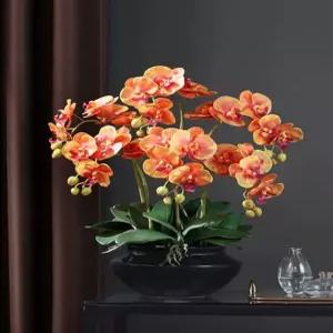 조화 호접란 플랜테리어 인테리어 개업화분 축하 서양난 고급 승진 선물 꽃장식 촬영