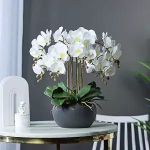 서양란 조화화분 호접란 인테리어 생화같은 퍼플 웨딩부케 선물 대형