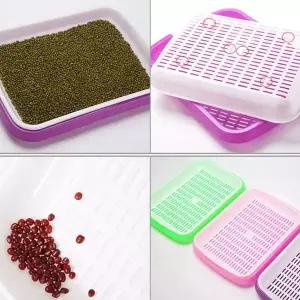 [골드스마일]씨앗재배기 새싹 식물 키우기 재배기