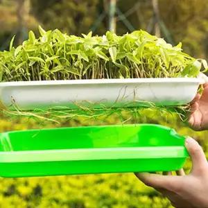 [골드스마일]새싹재배기 식물 씨앗 재배기