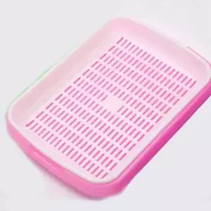 [골드스마일]랜덤 새싹보리 씨앗 트레이 새싹키우기 재배기 무순