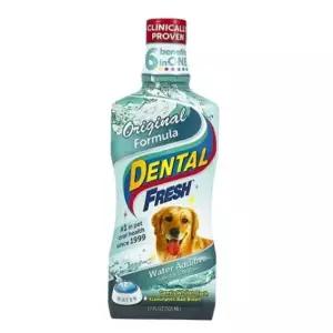 독 덴탈 후레쉬 오리지날 503ml 물에 섞어주는 치약