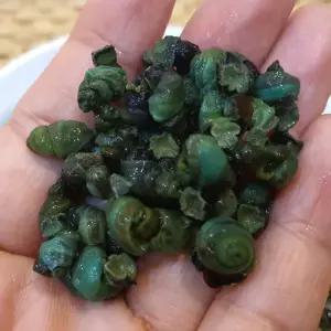 급냉 영월 깐 다슬기 300g 영월 다슬기 살 영월 올갱이 다슬기 냉동 다슬기 고디 강원