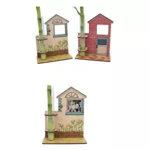 초등 자연 관찰 학습 MDF 시험관 개운죽 키우기 세트 5인 어린이만들기 오감발달